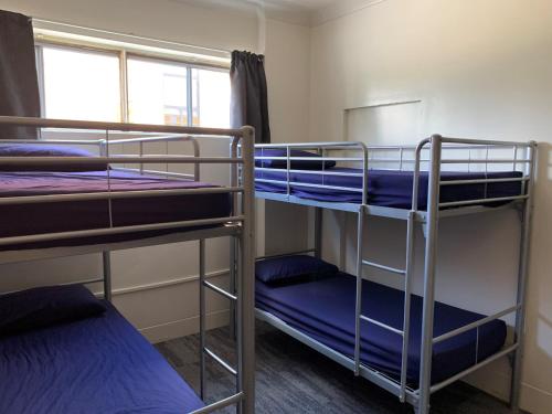 two bunk beds in a room with a window at Habitat Backpackers in Brisbane