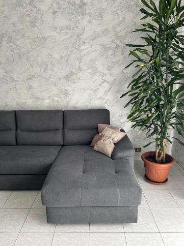 a gray couch with a pillow and a plant at Appartamento Seriate/Confine Bergamo in Seriate