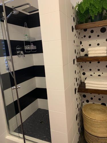 a shower in a bathroom with black and white tiles at The Nightingale in Groot Brak Rivier