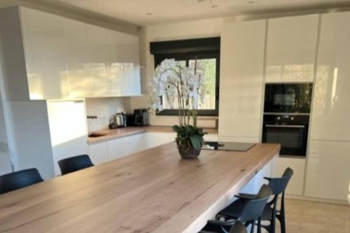 - une cuisine avec un comptoir en bois et des chaises dans l'établissement Maison Jardin d'Agrumes - Lozari, à Belgodère