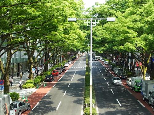 una calle con coches aparcados al lado de una carretera en Hotel Allamanda Aoyama Tokyo, en Tokio