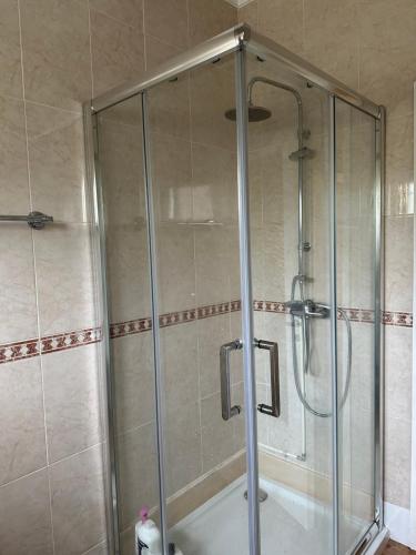 a shower with a glass door in a bathroom at Dom Ruas in Peso da Régua