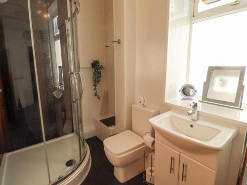 een badkamer met een toilet, een wastafel en een douche bij The Old Smithy in Morpeth