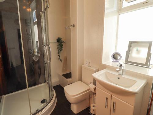 a bathroom with a toilet and a sink and a shower at The Old Smithy in Morpeth