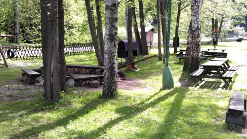 un grupo de mesas de picnic en un parque con árboles en Hotel Koliba en Vrbno pod Pradědem