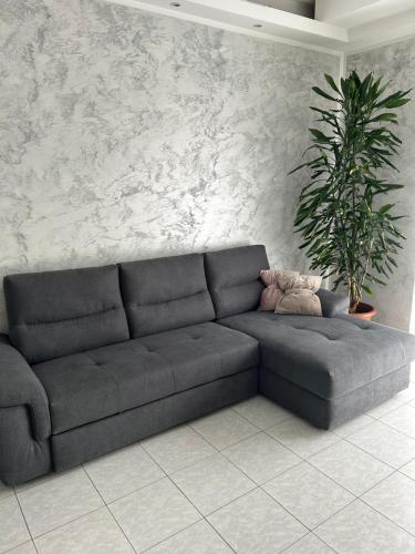 a couch in a living room with a potted plant at Appartamento Seriate/Confine Bergamo in Seriate