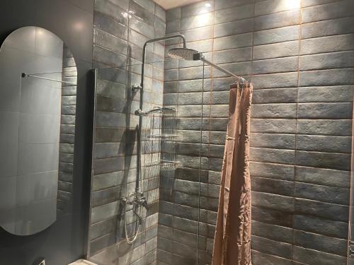 baño con ducha y puerta de cristal en Apartament 200 m od morza, en Sopot
