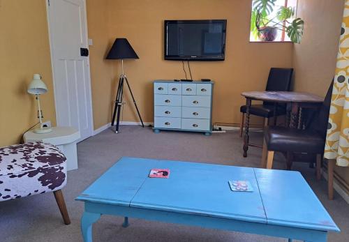 a living room with a blue coffee table and a tv at The Flat at Conway House in Overstrand