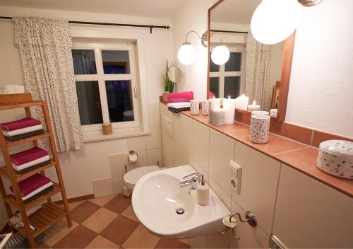 a bathroom with a sink and a toilet and a mirror at Ferienwohnung Vierländereck nahe Winterberg in Elpe