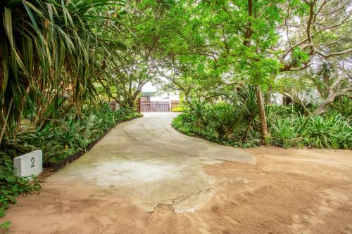 a dirt road through a forest with trees at Kangela 2 in Ponta Malongane