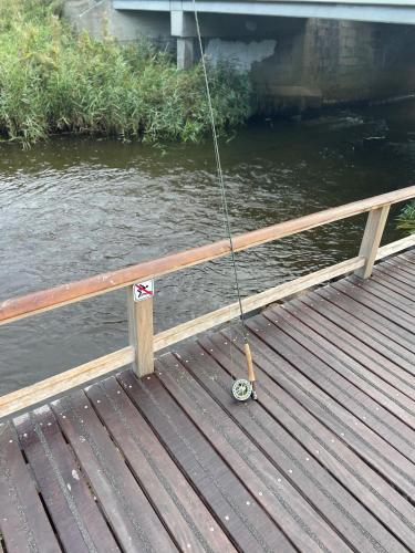 a dog tied to a pole on a wooden bridge at Motel Rovli in Skærbæk