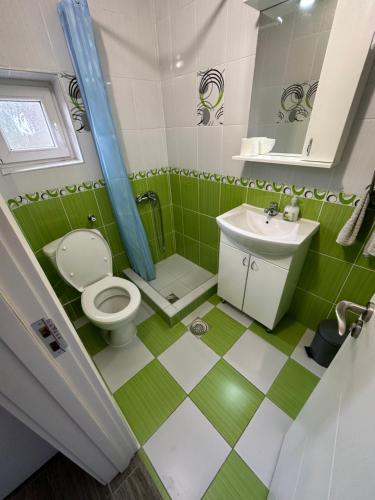 een groene en witte badkamer met een toilet en wastafel bij Divčibarski raj in Divčibare