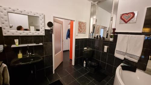 a bathroom with a sink and a toilet and a mirror at Apartment Geibel T4 - 85m2 - Highspeed Internet - Hundefreundlich in Vienna