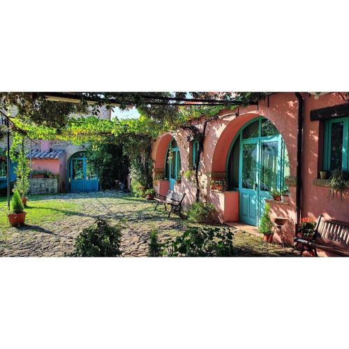 a courtyard of a building with vines growing on it at Hotel Sa Lolla in Barùmini