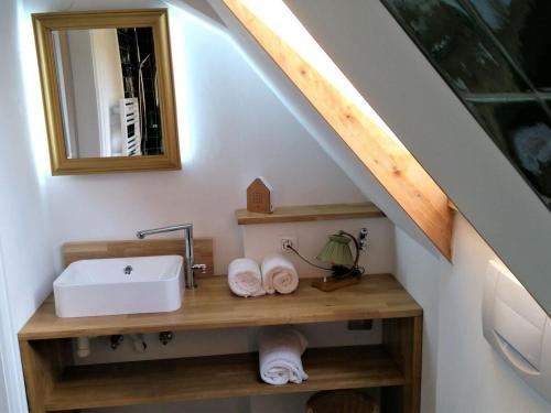 een badkamer met een wastafel en een spiegel bij Haslehaus in Feldberg