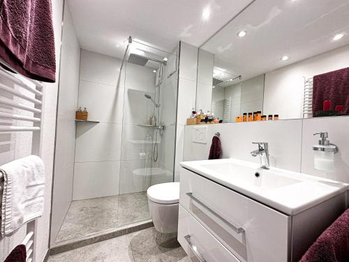 a bathroom with a toilet and a sink and a shower at Auszeit am Staufen in Oberstaufen