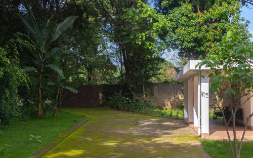 a driveway in a yard with a fence and trees at The House of Black and White in Arusha