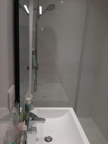 une salle de bain avec douche et lavabo dans l'établissement Très beau studio Paris 15, proche des commerces et de la tour Eiffel, à Paris