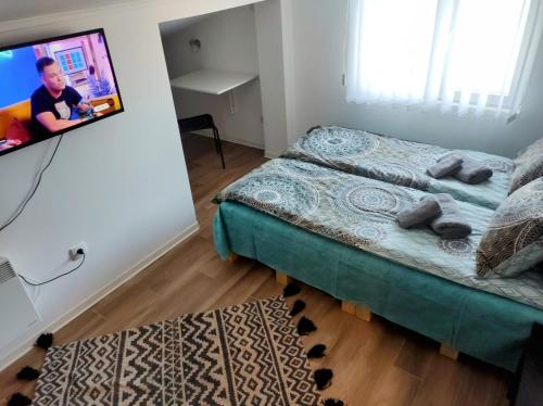 a room with a bed and a tv on a wall at Le Petit Studio in Kanarevo Brdo