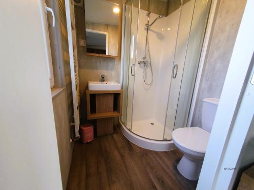 a small bathroom with a shower and a toilet at Tinyhaus im Altmühltal in Beilngries