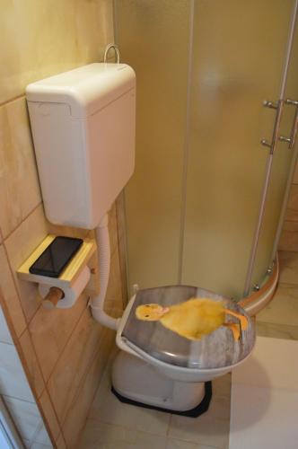 a bathroom with a toilet with a sink in it at Studio Mini Lux in Požarevac