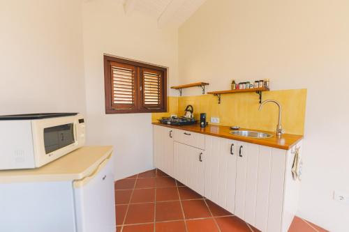 La cuisine est équipée d'un évier et d'un four micro-ondes. dans l'établissement Villa Topzicht - Sunshine, à Willemstad