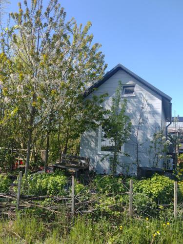 a house with a fence in front of it at Tuinhuisje in het groen in Almere