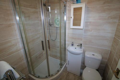 a bathroom with a shower and a toilet and a sink at Greenside Cottage Caldbeck in Caldbeck