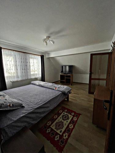 een slaapkamer met een bed, een tafel en een raam bij Cabana Bilbor in Bilbor