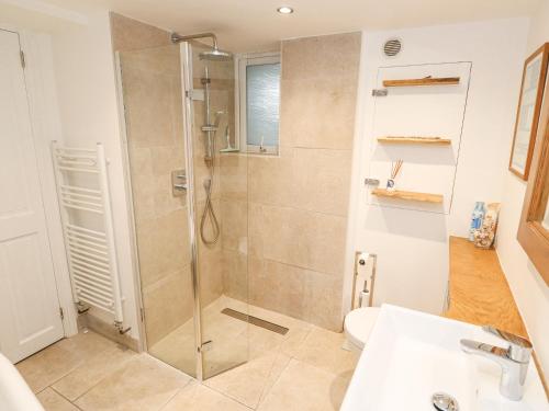 a bathroom with a shower with a sink and a toilet at Dolphin Cottage in Falmouth
