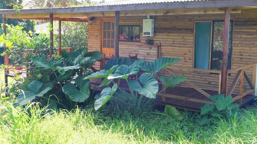 a wooden cabin with plants in front of it at Cabañas Akiko in Hanga Roa