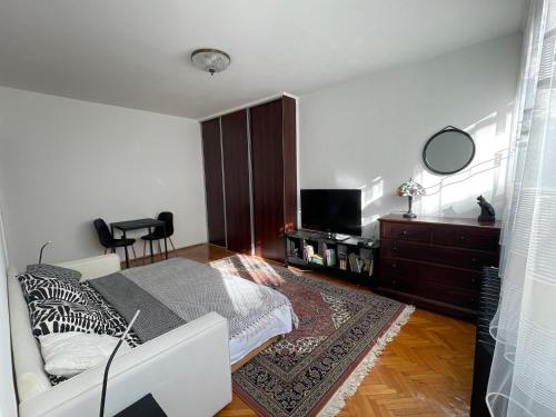 sala de estar con cama y vestidor en Apartment Mirochka, en Belgrado