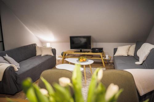 a living room with two couches and a television at Ferienwohnung am Berg Oybin in Oybin