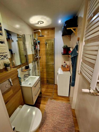 a bathroom with a toilet and a sink and a shower at Apartament Boho in Inowrocław
