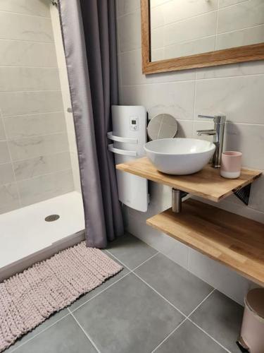une salle de bain avec un lavabo, des toilettes et une douche dans l'établissement Maison cosy et décorée avec goût à la campagne, à Sévérac