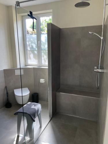 y baño con ducha, aseo y lavamanos. en Feriendomizil im Saarschleifenland - Ferienhaus Gätschenberger, en Mettlach
