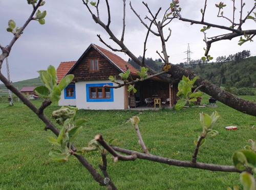 a small house in a field with a tree at Casa Bunicii in Topliţa