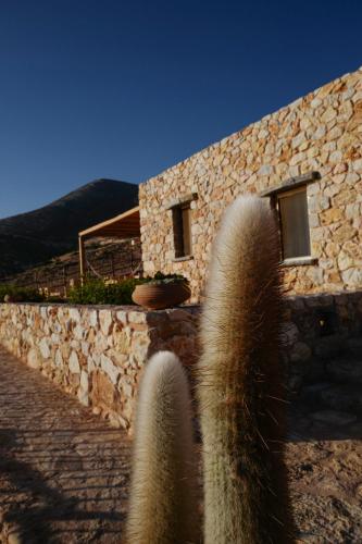 Gallery image of Phisis Nature Retreat in Donoussa