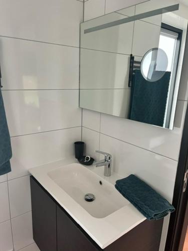 W łazience znajduje się umywalka i lustro. w obiekcie De Danser 2 w mieście Klaaswaal