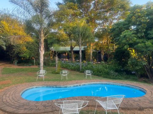 - une piscine avec des chaises et un arbre dans l'établissement Busa House, à White River