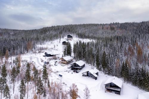 Luksushuvila Villa Helmi في يامسا: منظر هوائي لكابينة في الثلج