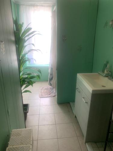 a bathroom with a sink and a potted plant at Cassandra’s Private Room Getaway Heart of Brooklyn in Brooklyn