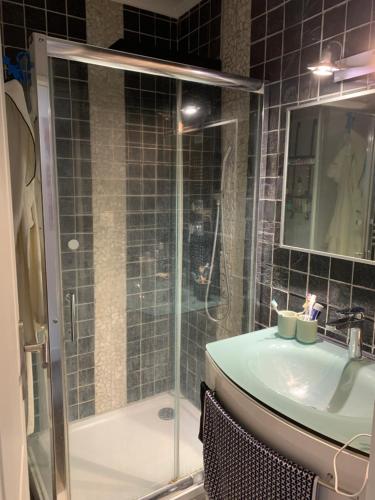 une salle de bain avec douche et lavabo dans l'établissement Nature et confort appart, au Mans