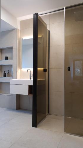 uma casa de banho com um chuveiro e um lavatório. em Villa Baltique em Ostseebad Sellin