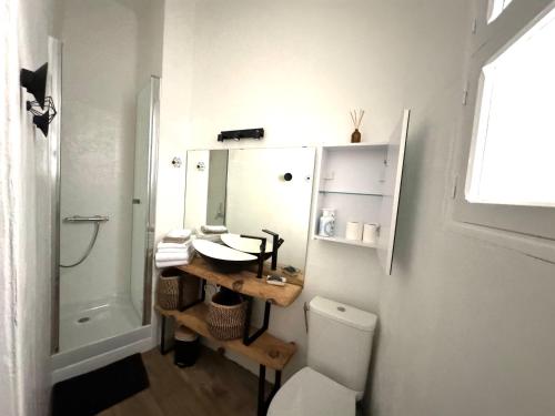 een badkamer met een wastafel, een toilet en een spiegel bij Studio 3 pers coeur de village Bormes les Mimosas in Bormes-les-Mimosas