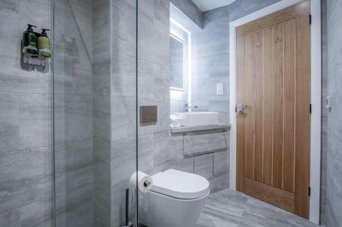 ein Bad mit einem WC, einem Waschbecken und einer Dusche in der Unterkunft Suite 7 - Sleeping Giant Hotel - Pen Y Cae Inn in Brecon