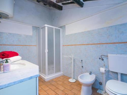 モンテカティーニ・ヴァル・ディ・チェーチナにあるCasa Zia Secondaの青いバスルーム(トイレ、シンク付)