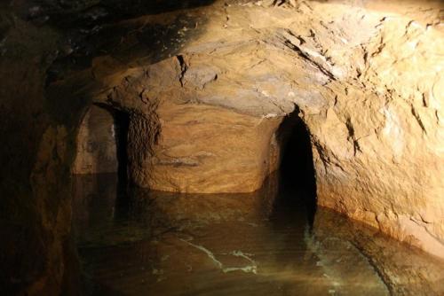 uma caverna cheia de água e um túnel com uma caverna em La ferme de blanche em Entrechaux