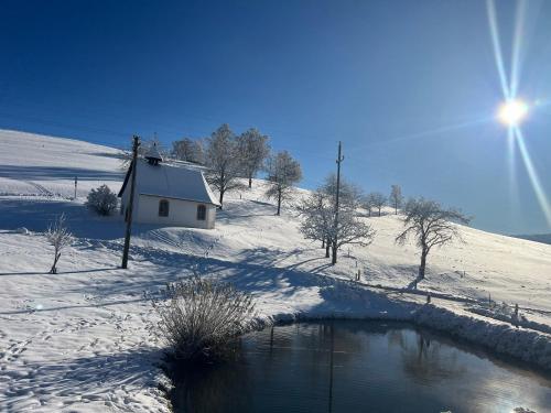 una casa en un campo cubierto de nieve con un estanque en Kapellenhof Ferienwohnungen, en Triberg