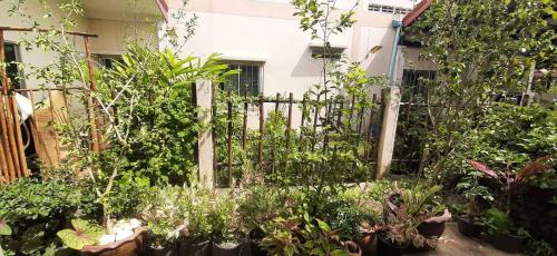 a garden with plants and a fence at Rutcha homestay Betong รัชชา โฮมสเตย์ เบตง in Betong